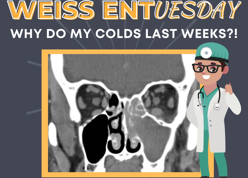 Why do my colds last weeks?